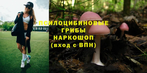 стафф Арсеньев