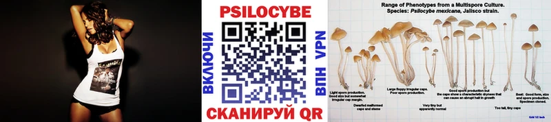 Псилоцибиновые грибы GOLDEN TEACHER МЕГА ссылки Козьмодемьянск
